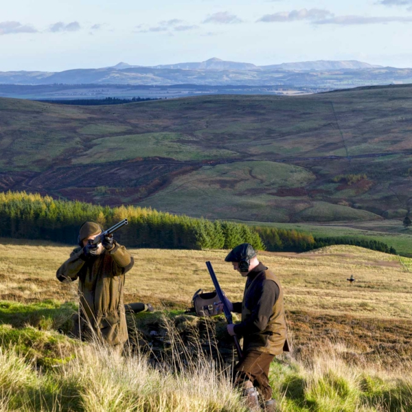Erhvervsfotografs billede af Grouse shooting i Skotland