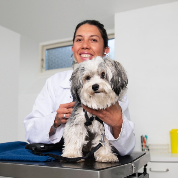 Erhvervsfotograf billede af Dyrl&aelig;ge hos Hellerup Dyreklinik