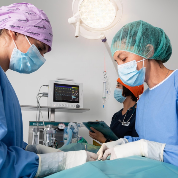 Operation hos Hellerup Dyreklinik